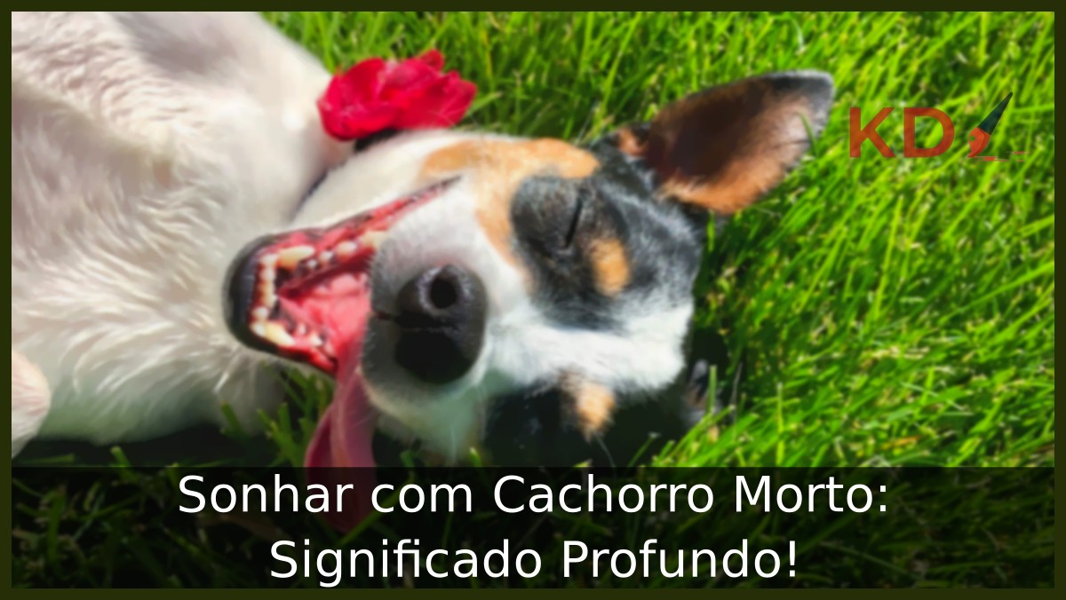 Sonhar com cachorro morto