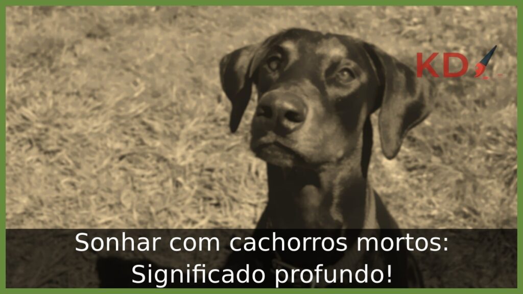 Sonhar com cachorros mortos: Significado profundo! 1 Sonhar com cachorros mortos.