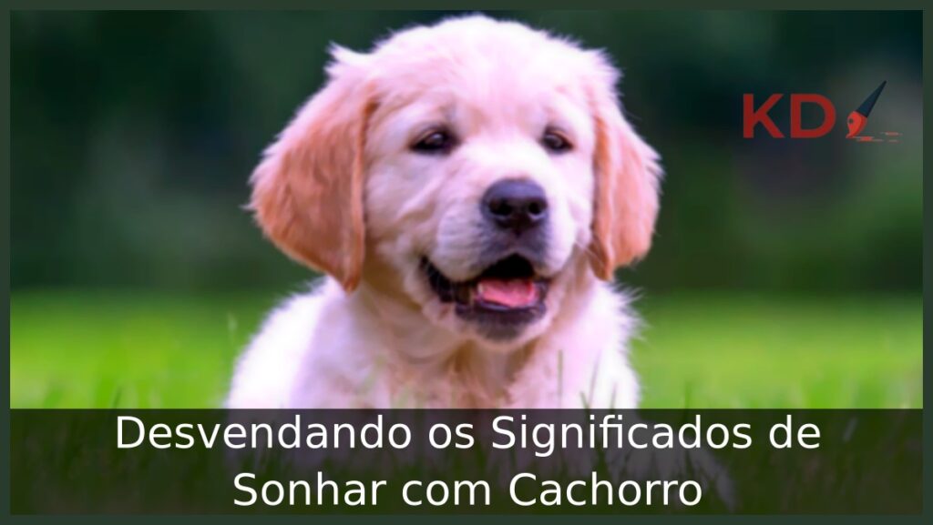 Sonhar com cachorro
