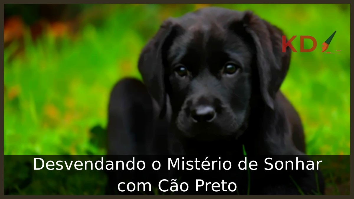Sonhar com cão preto