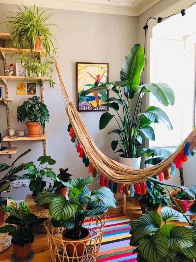 Urban Jungle: o que é esse estilo de decoração? Fotos para inspirar