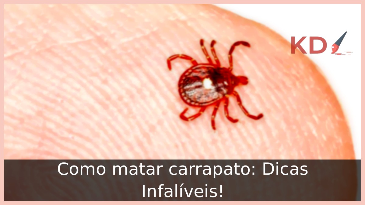Como matar carrapato: Dicas Infalíveis! - carrapato