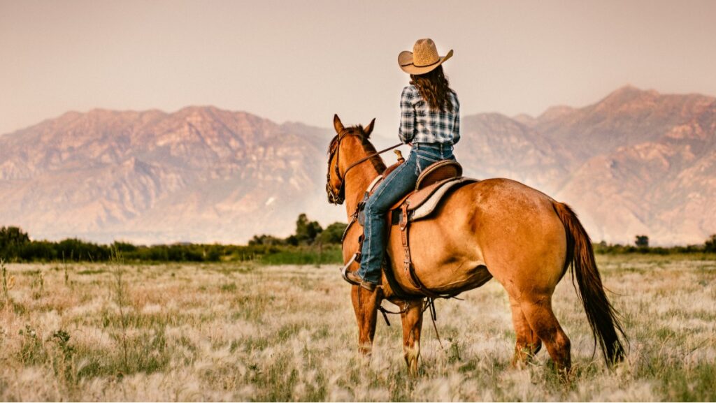 Sonhar com Cavalos Marrons: Descubra o Significado! 2 Sonhar com cavalo marrom