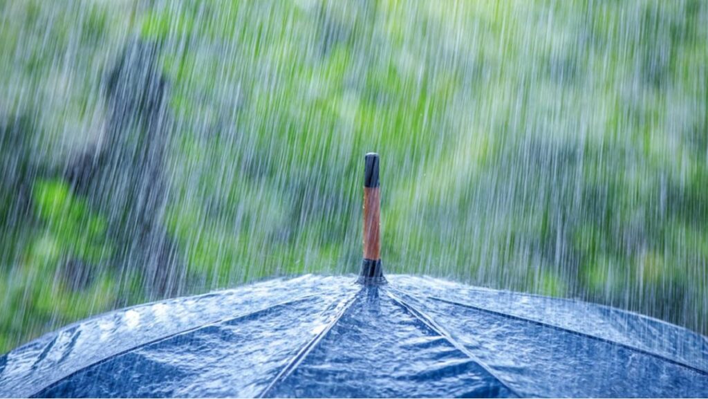 Significados de Sonhar com Chuva: Veja a realidade! 2 Sonhar com chuva
