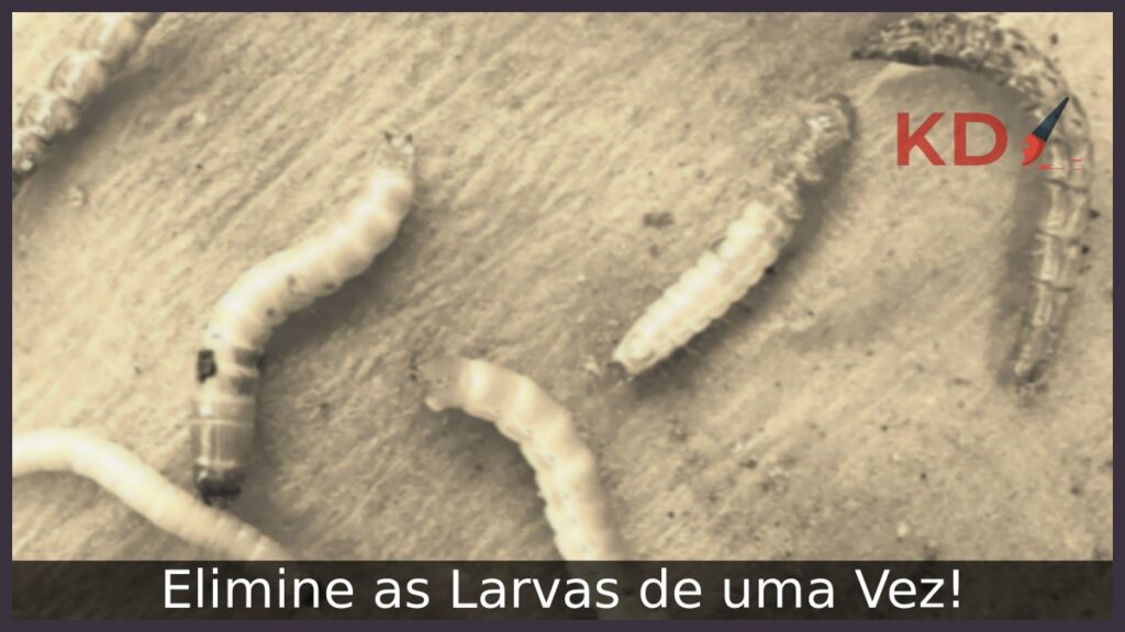 Como matar larvas: Elimine de uma Vez!