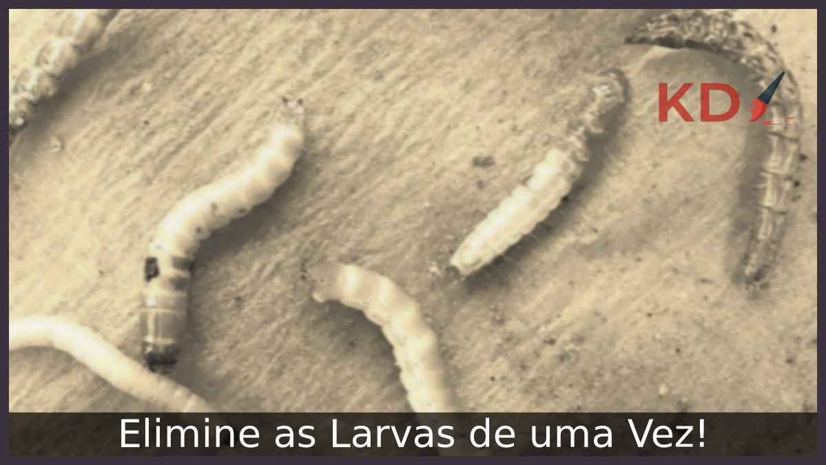 Como matar larvas: Elimine de uma Vez! - como matar larvas