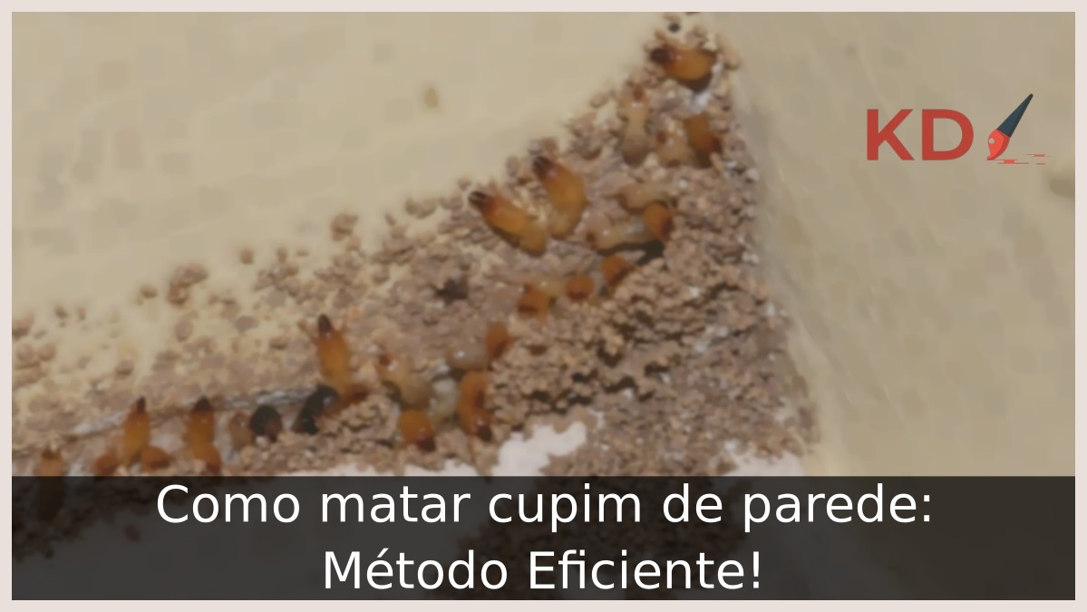 Como matar cupim de parede: Método Eficiente! - cupim de parede