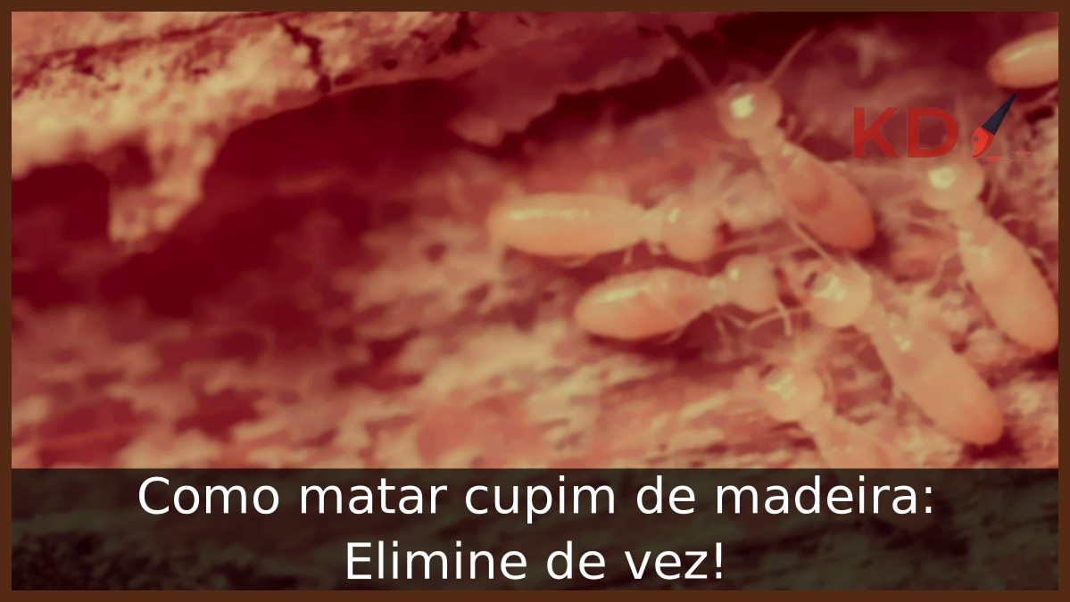Como matar cupim de madeira: Elimine de vez! - cupim madeira
