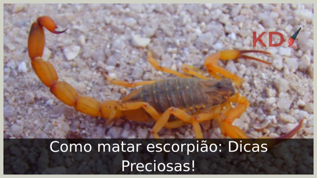 Como matar escorpião: Dicas Preciosas!