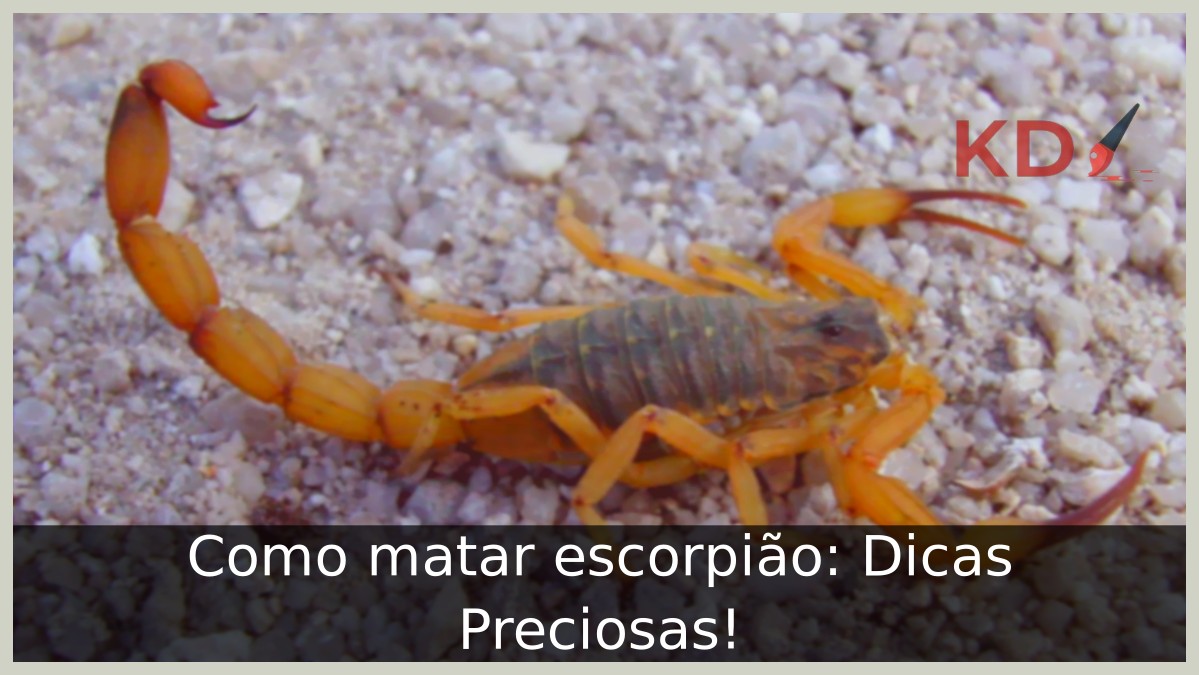 Como matar escorpião: Dicas Preciosas! - ecorpiao