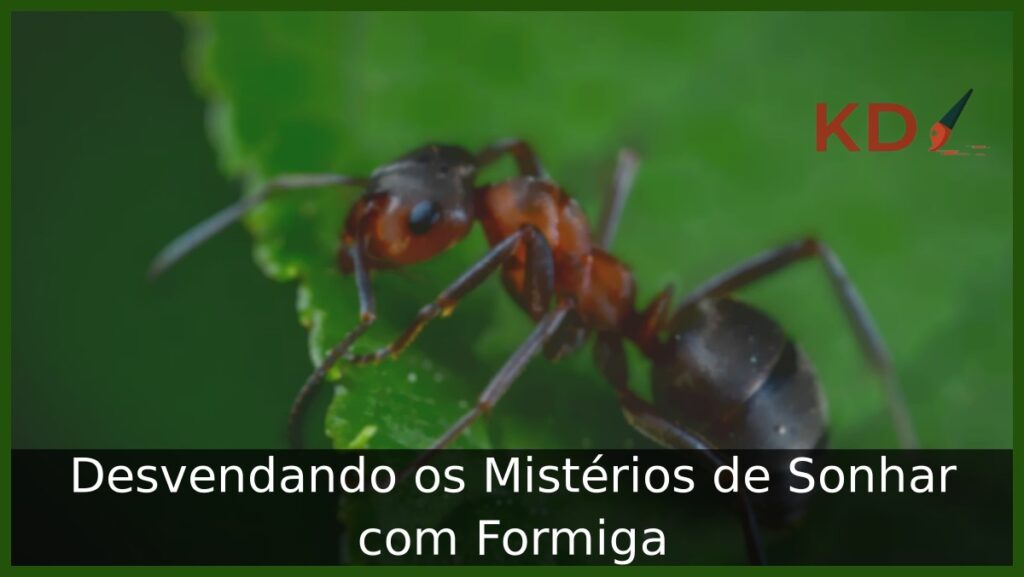 Sonhar com Formiga: O que pode significar? 1 Sonhar com formiga