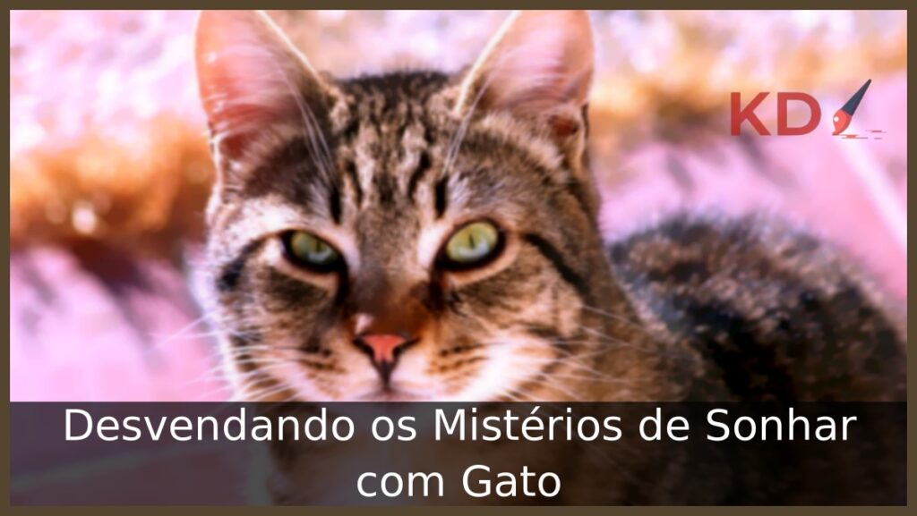 Sonhar com Gato: Veja o real significado! 2 Sonhar com gato