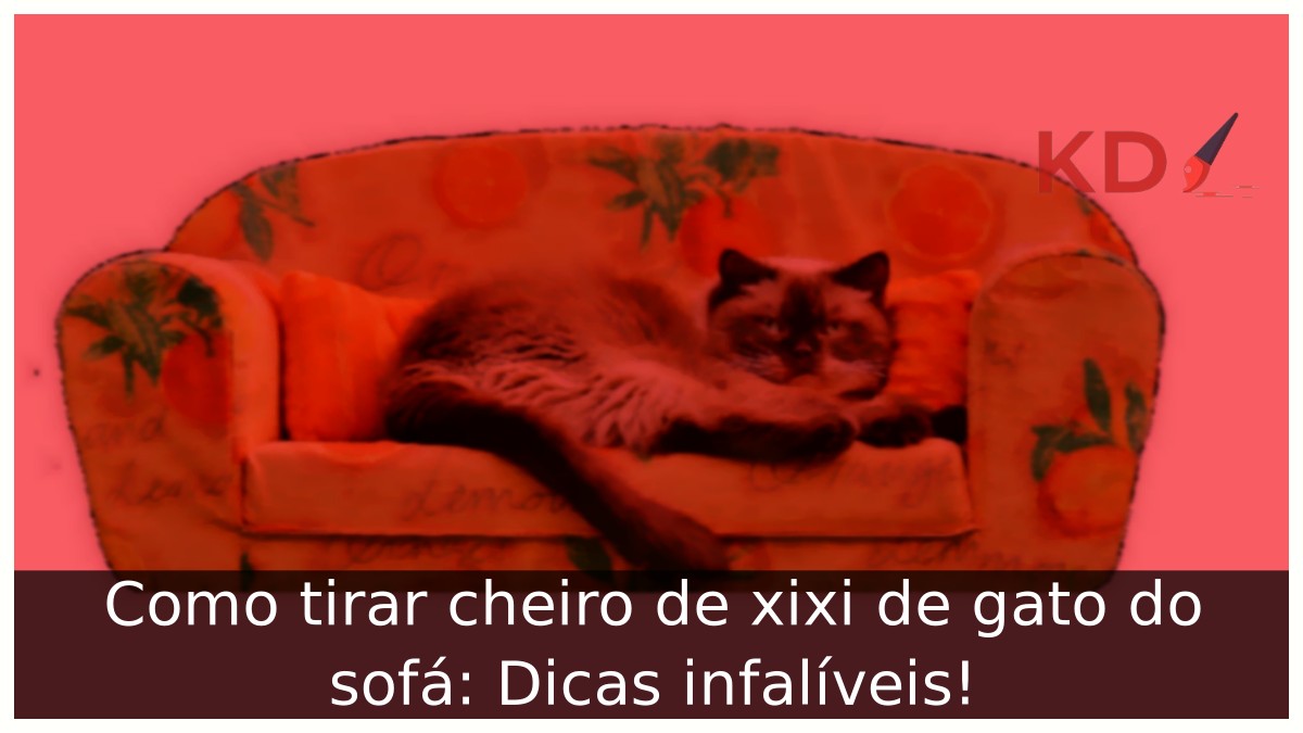 Como tirar cheiro de xixi de gato do sofá: Dicas infalíveis! - gato 3 1