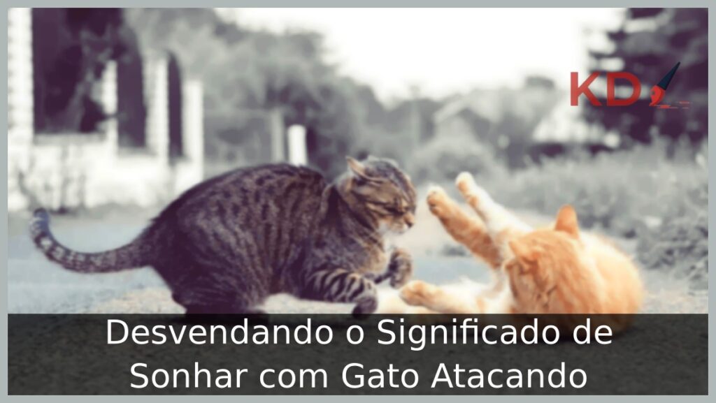 Sonhar com Gato Atacando: Entenda o significado! 1 Sonhar com gato atacando