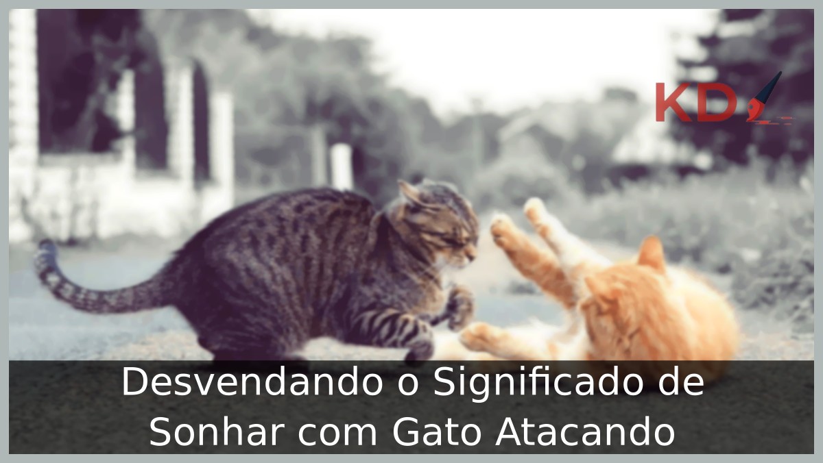 Sonhar com Gato Atacando: Entenda o significado! 20 Sonhar com gato atacando