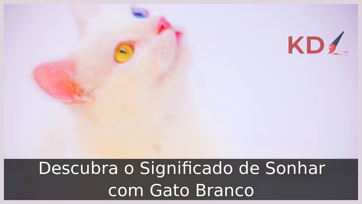 Sonhar com gato branco