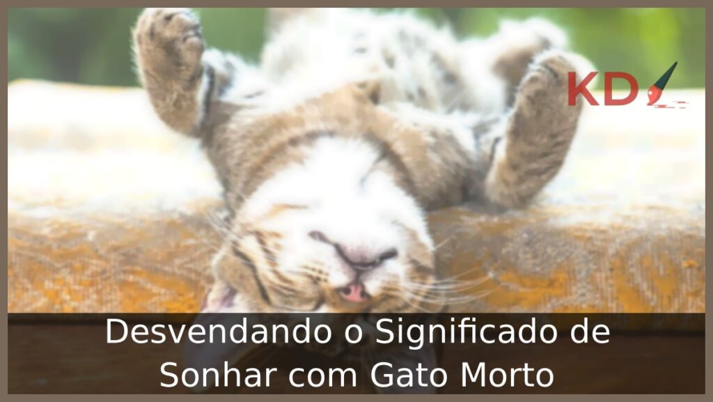 Sonhar com gato morto