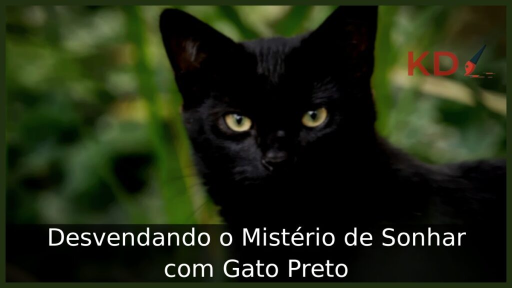 Sonhar com Gato Preto: Veja os reais significados! 1 Sonhar com gato preto
