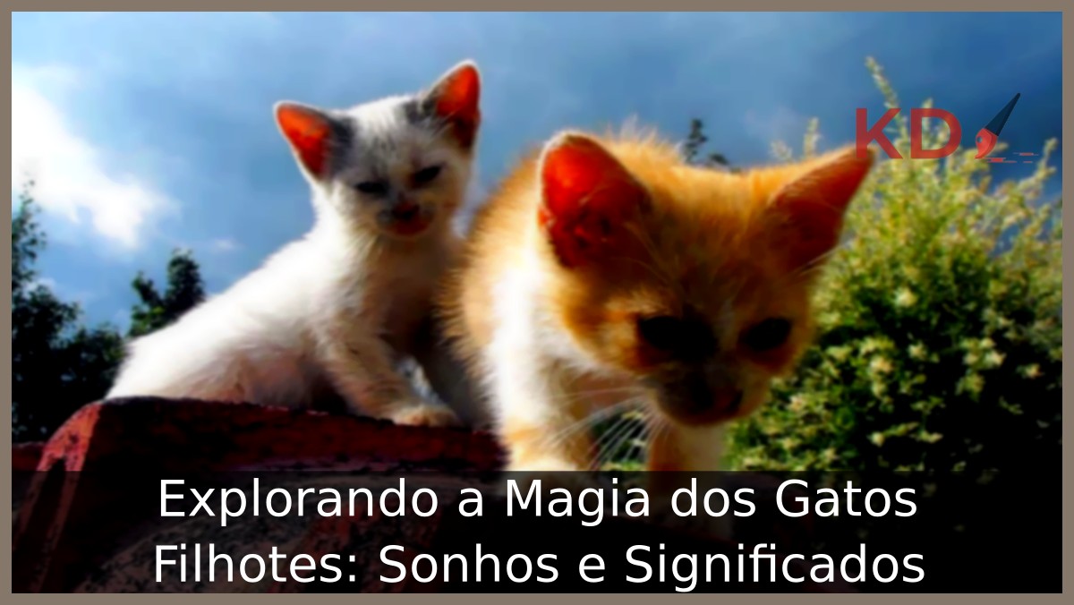 Sonhar com gatos filhotes