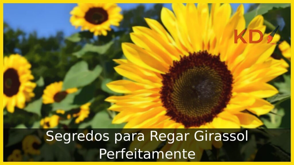 Como regar girassol: Veja dicas valiosas! 1 Como regar girassol: Veja dicas valiosas!