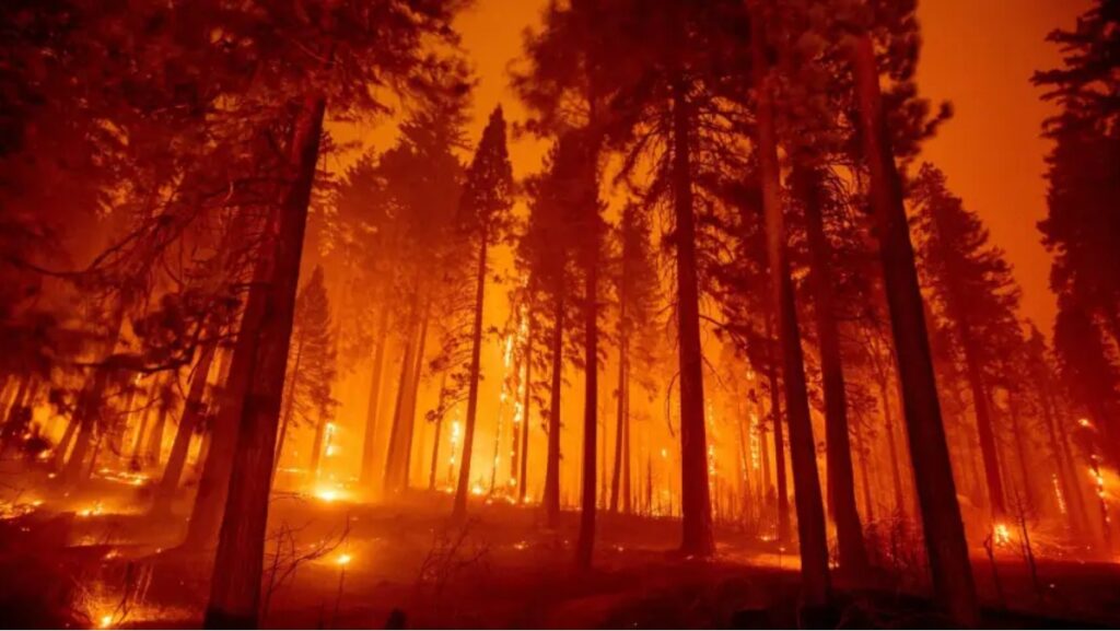 Sonhar com incêndio: Confira os reais significados! 2 Sonhar com incêndio
