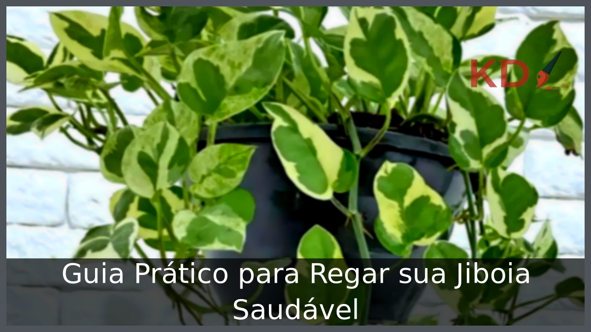 Como regar jiboia: Veja ótimas dicas! - j 1