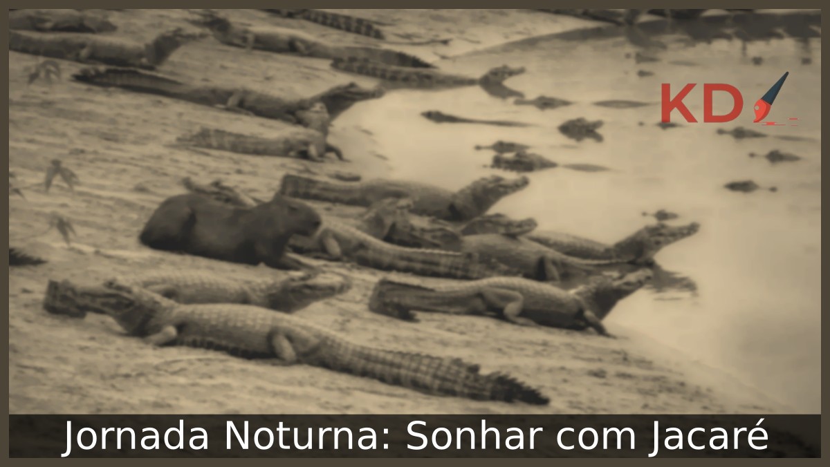 Sonhar com Jacaré