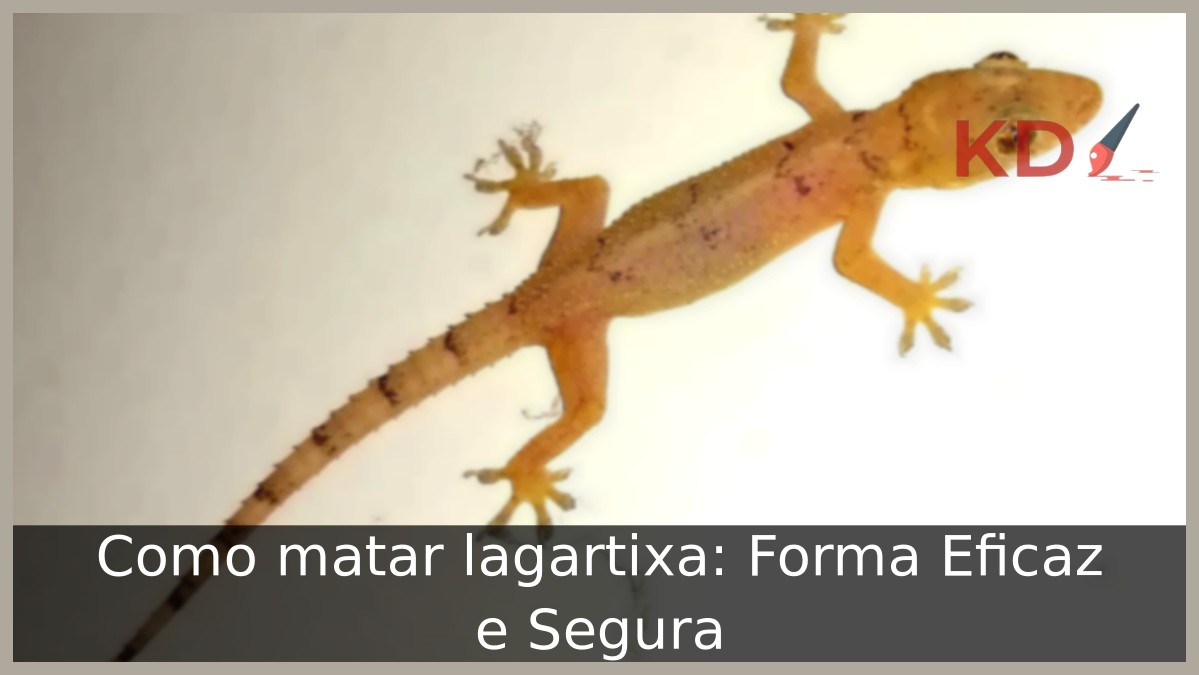 Como matar lagartixa: Forma Eficaz e Segura