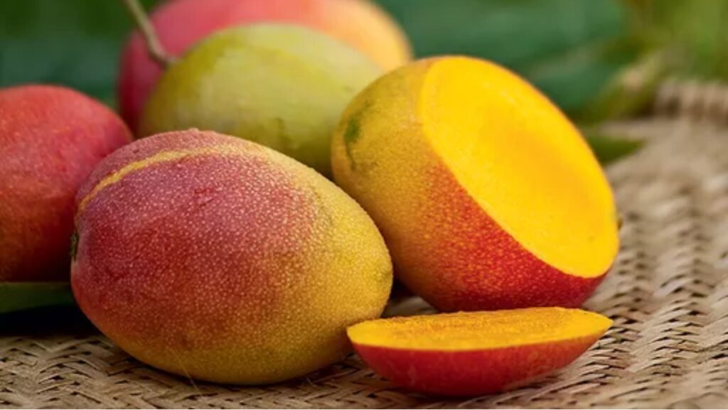 Sonhar com mangas maduras