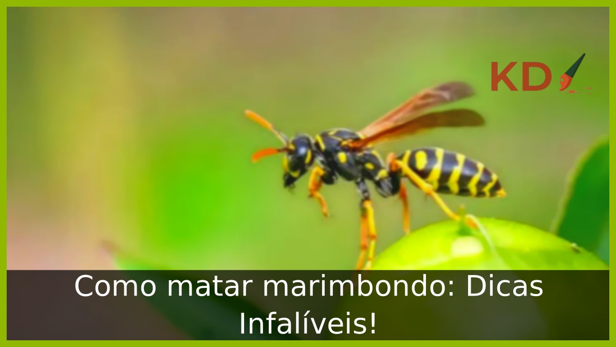 Como matar marimbondo: Dicas Infalíveis! - marimbondo