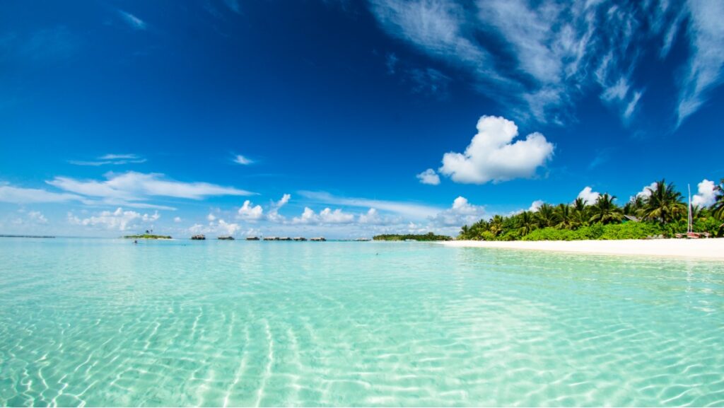 Sonhar com Mar: Veja o real significado! 2 Sonho com mar.