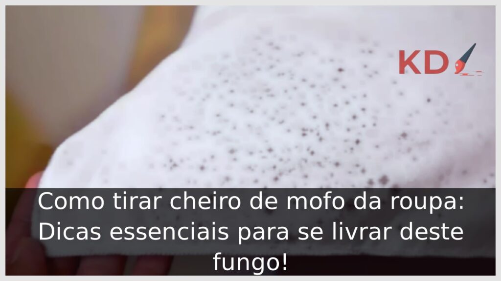 Como tirar cheiro de mofo da roupa: Dicas essenciais para se livrar deste fungo! 1 Como tirar cheiro de mofo da roupa.