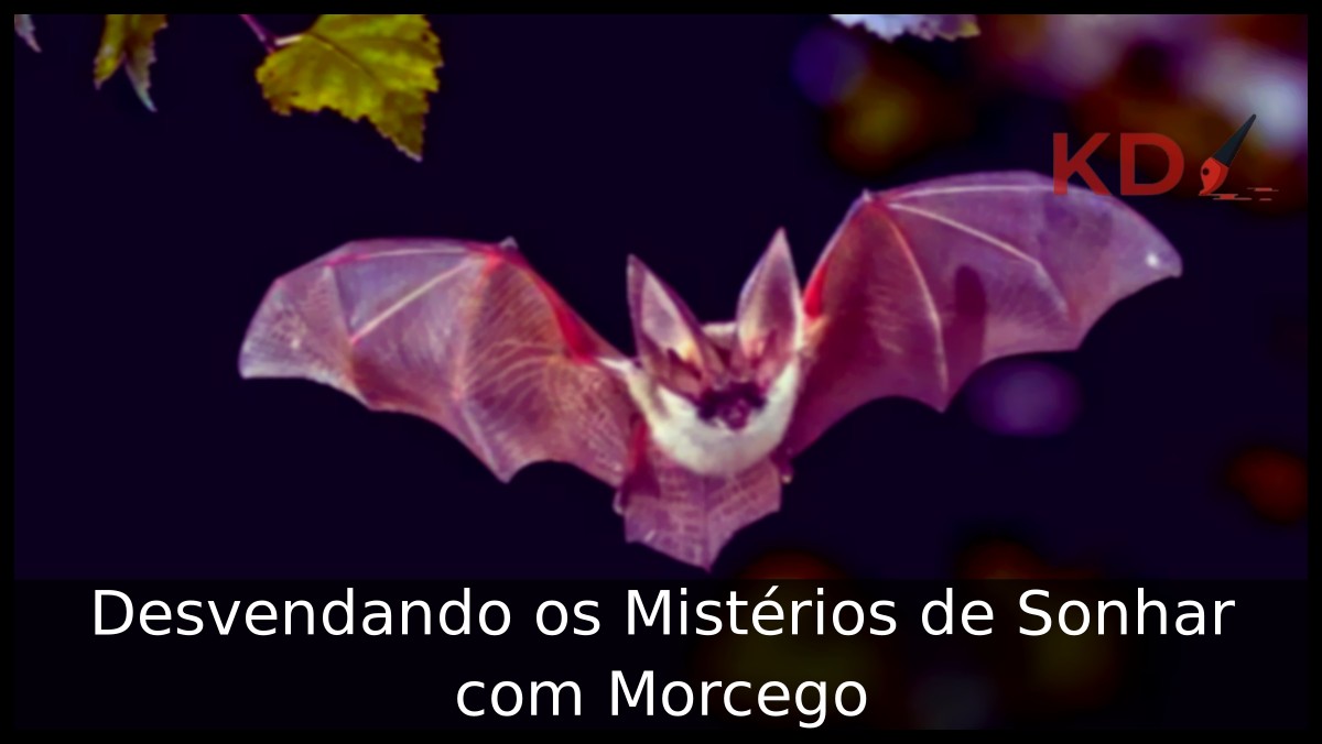 Sonhar com morcego