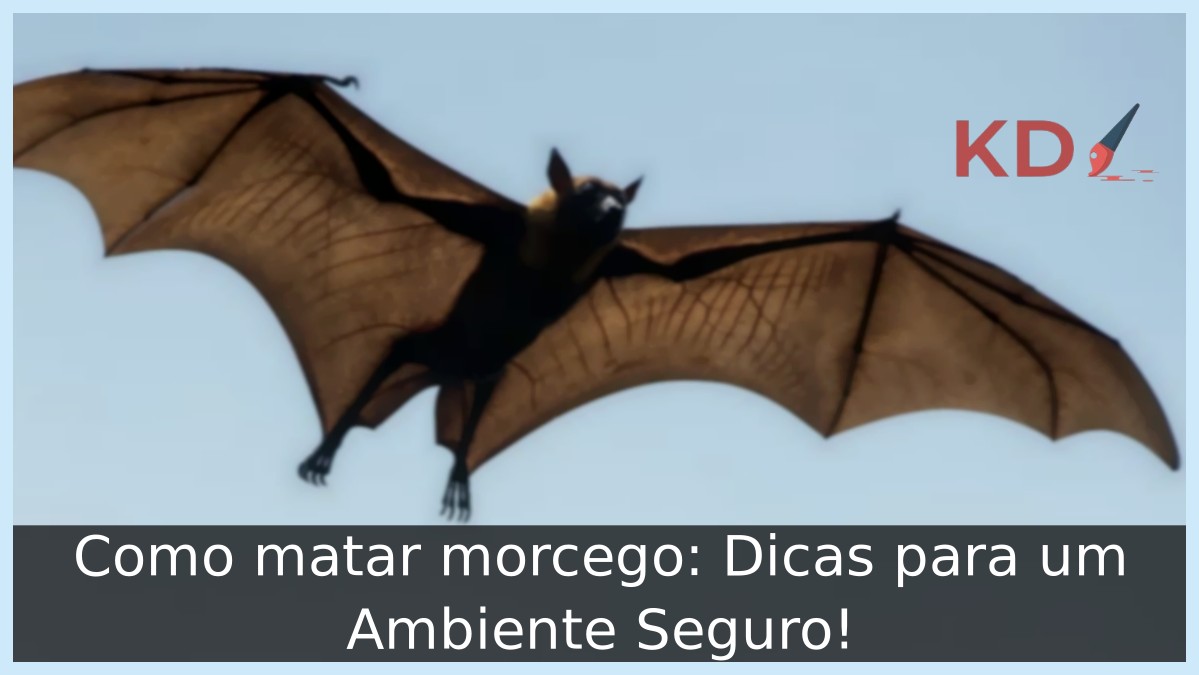 Como matar morcego: Dicas para um Ambiente Seguro! - morcego