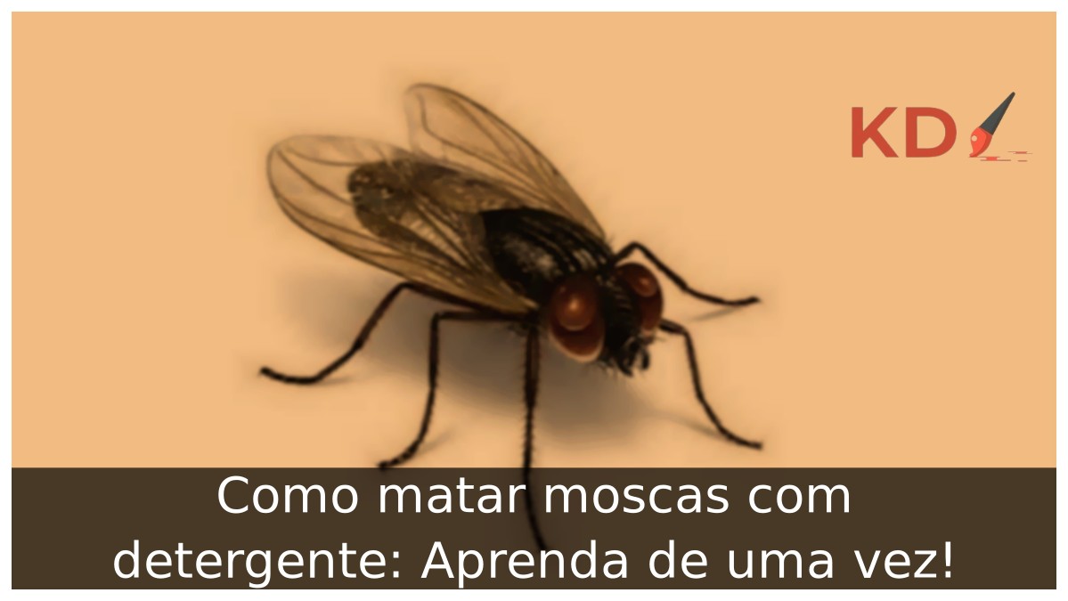 Como matar moscas com detergente: Aprenda de uma vez! - moscas