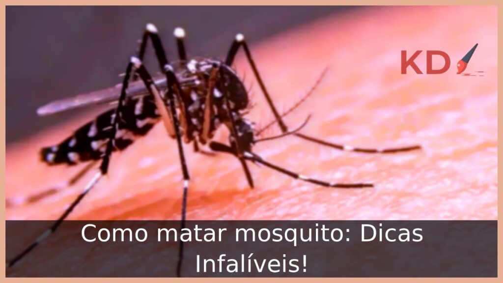 Como matar mosquito: Dicas Infalíveis!
