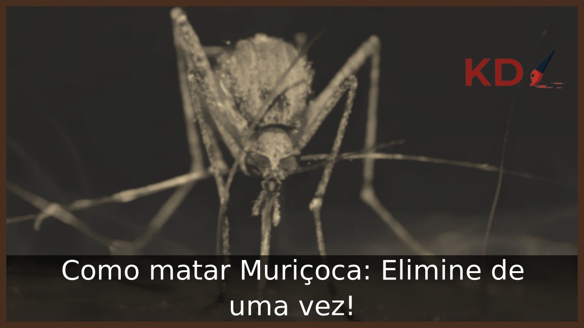 Como matar Muriçoca: Elimine de uma vez! - muricoca