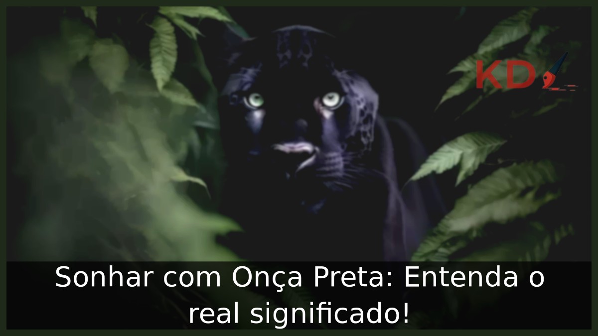 Sonhar com Onça Preta
