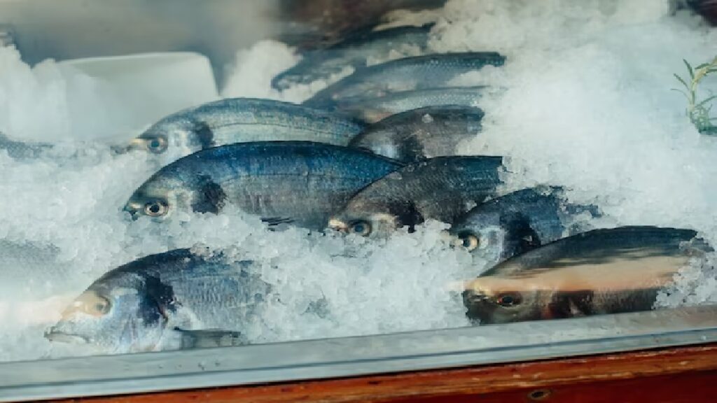 Como tirar cheiro de peixe da geladeira: Dicas infalíveis! 2 Peixe congelado.