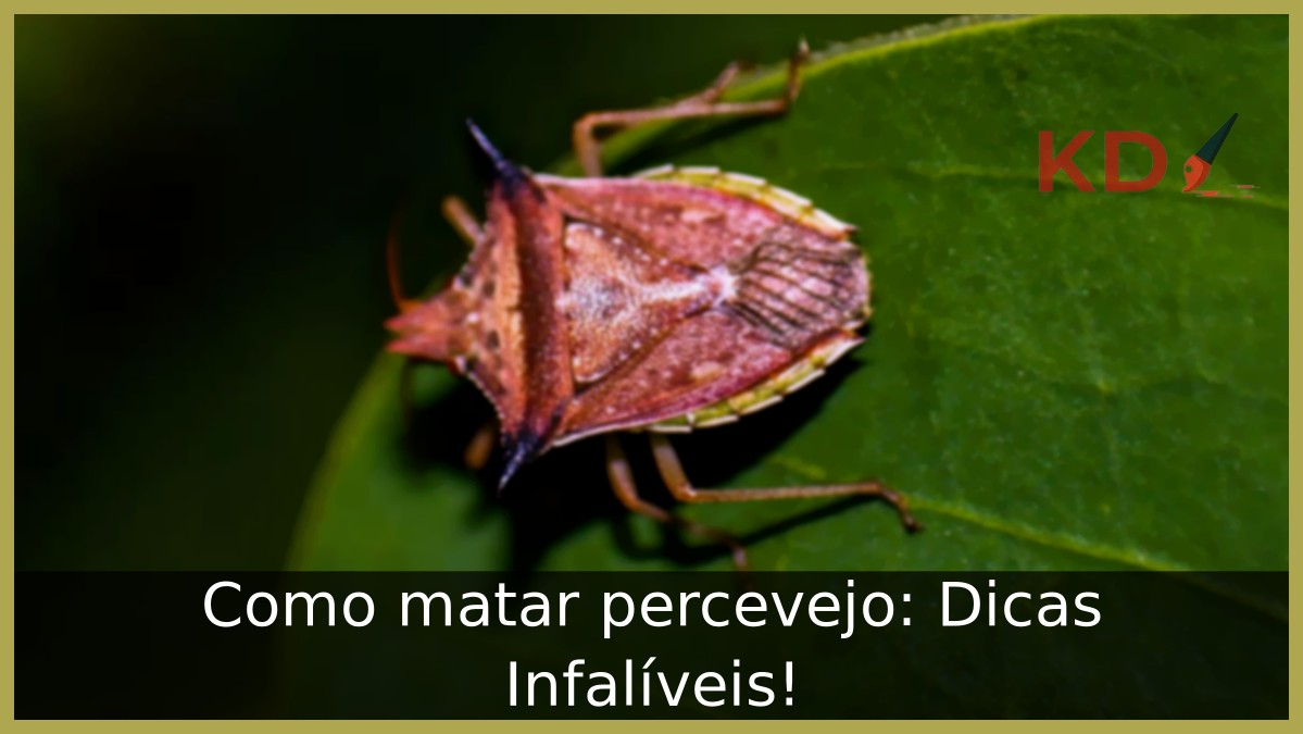 Como matar percevejo: Dicas Infalíveis! - percevejo
