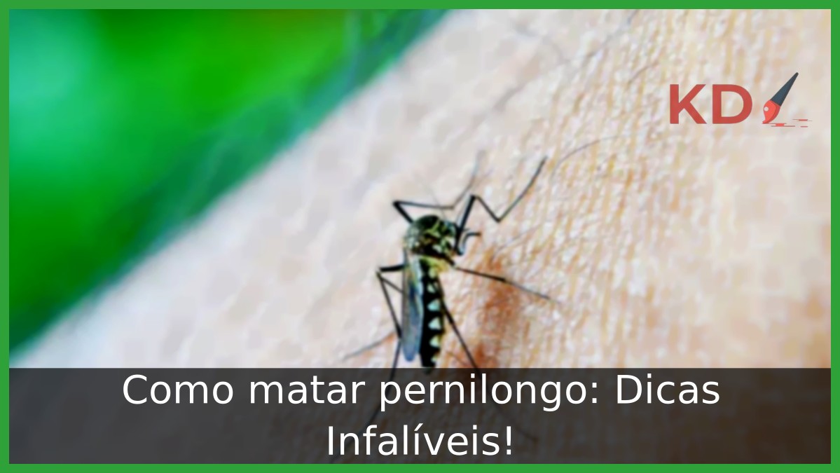 Como matar pernilongo: Dicas Infalíveis! - pernilongo