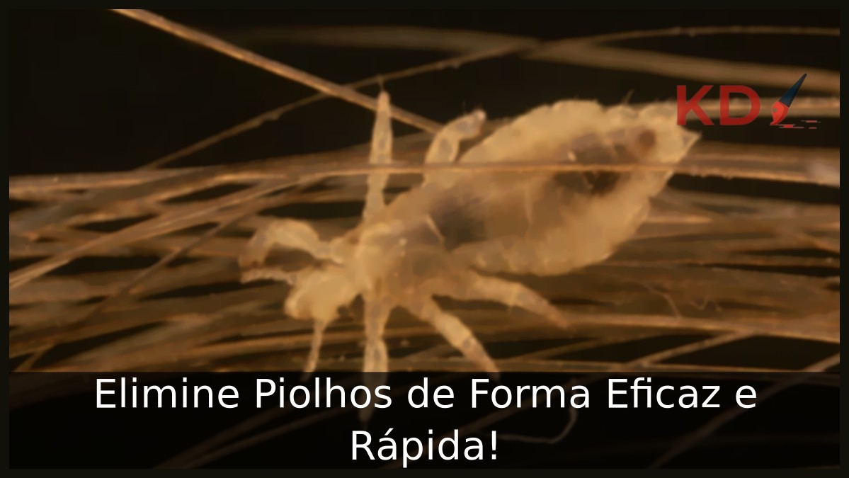 Como matar piolho: Forma Eficaz e Rápida! - pioho