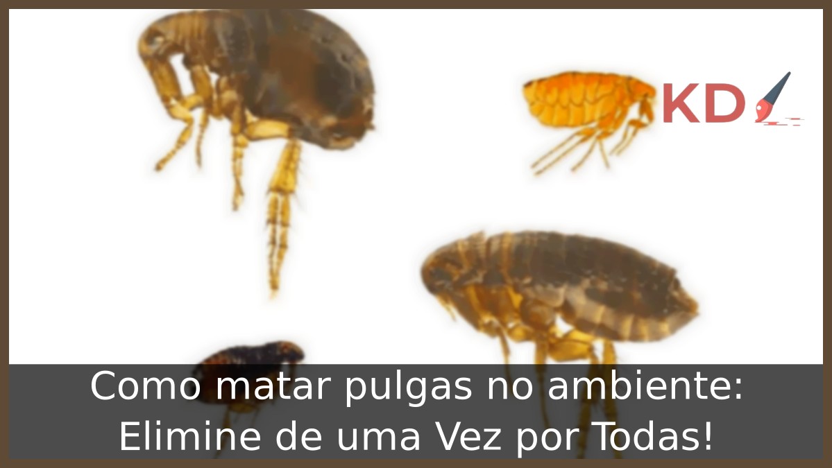 Como matar pulgas no ambiente: Elimine de uma Vez por Todas! - pulgas