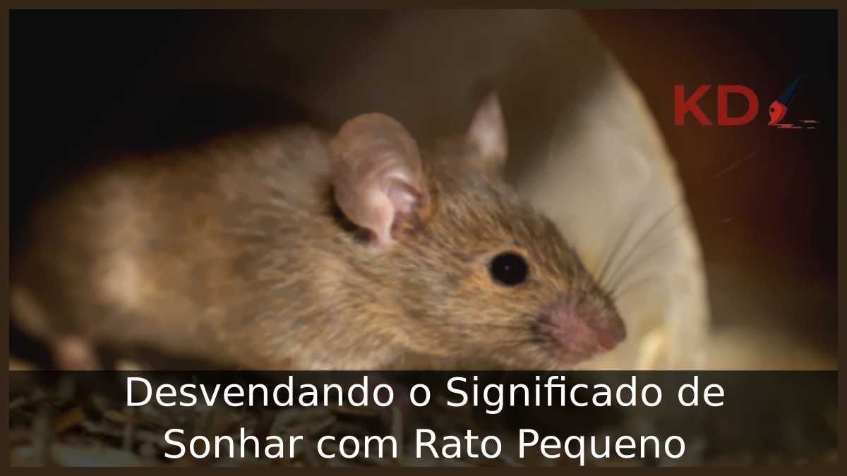 Sonhar com rato pequeno