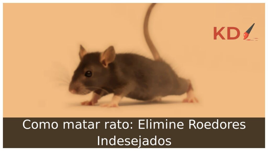 Como matar rato: Elimine Roedores Indesejados