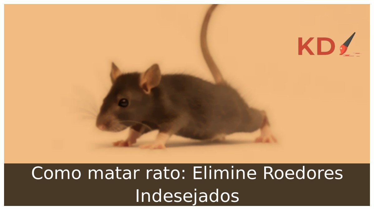Como matar rato: Elimine Roedores Indesejados - rato 2