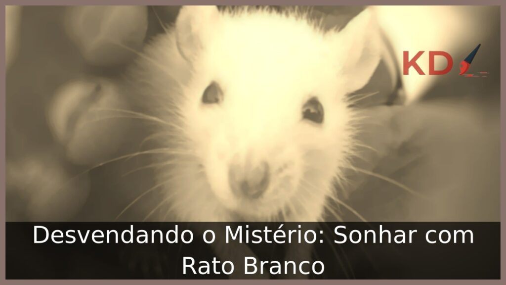 Sonhar com Rato Branco