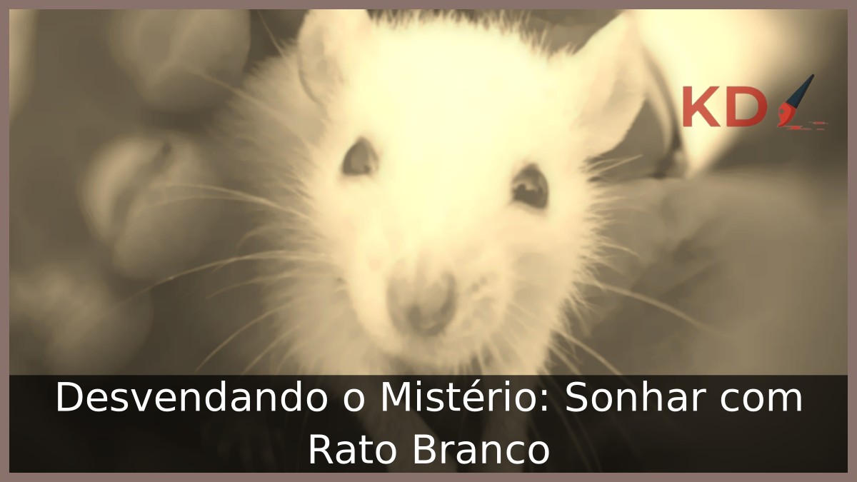 Sonhar com Rato Branco