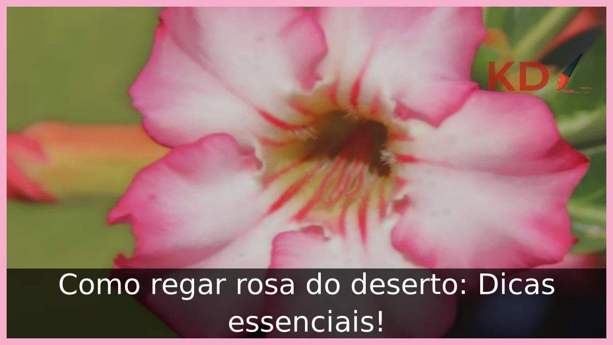 Como regar rosa do deserto: Dicas essenciais! - rosa do deserto