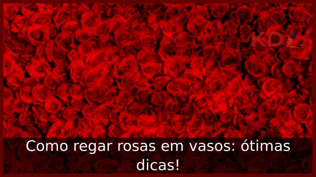 Como regar rosas em vasos: ótimas dicas! 1 Como regar rosas em vasos: ótimas dicas!